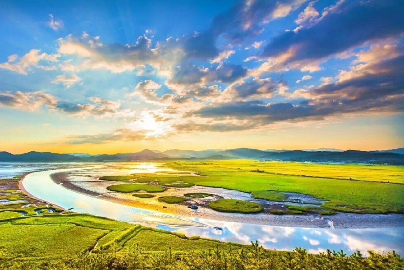 사진=순천만습지