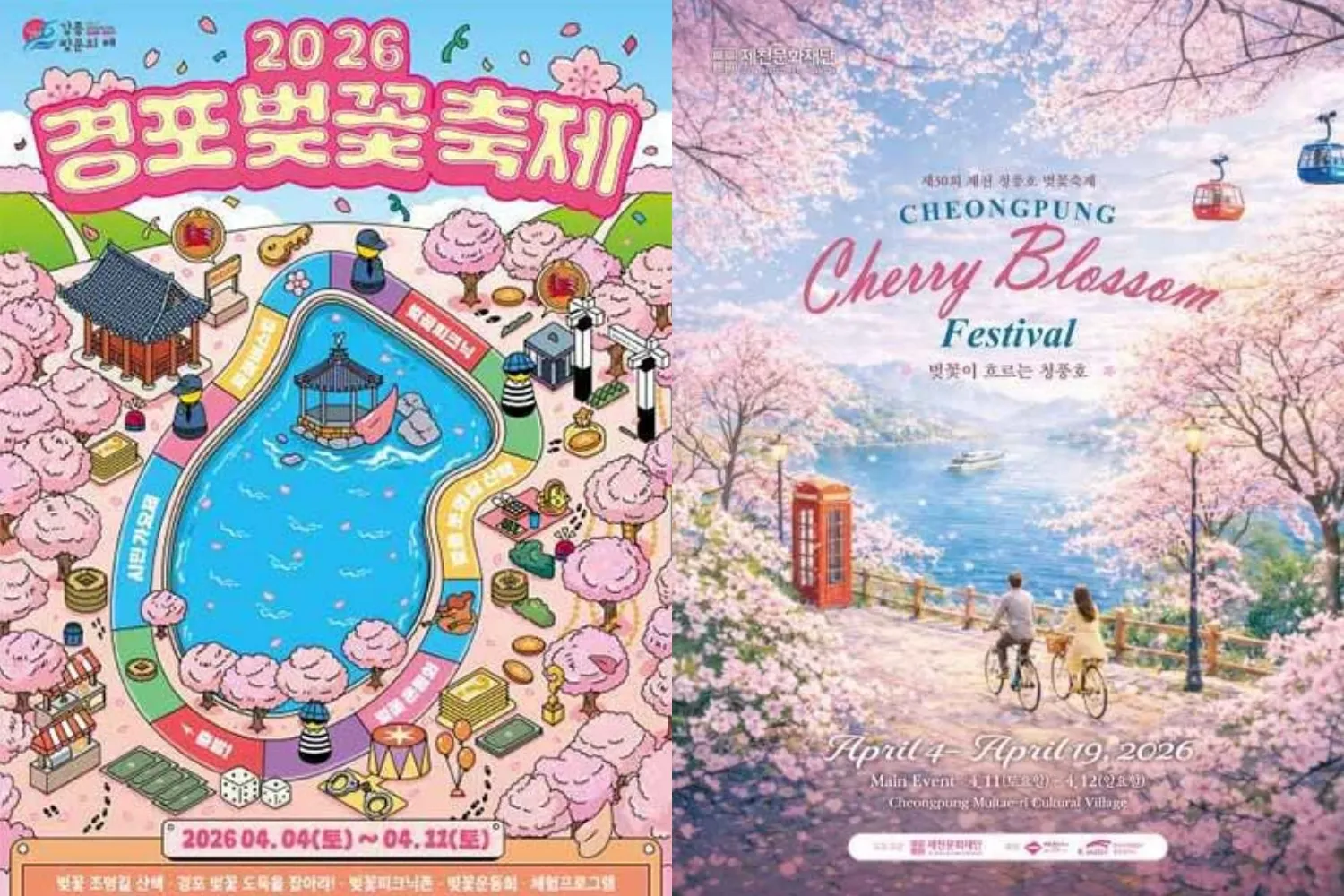 사진=경포벚꽃축제, 제천청풍호