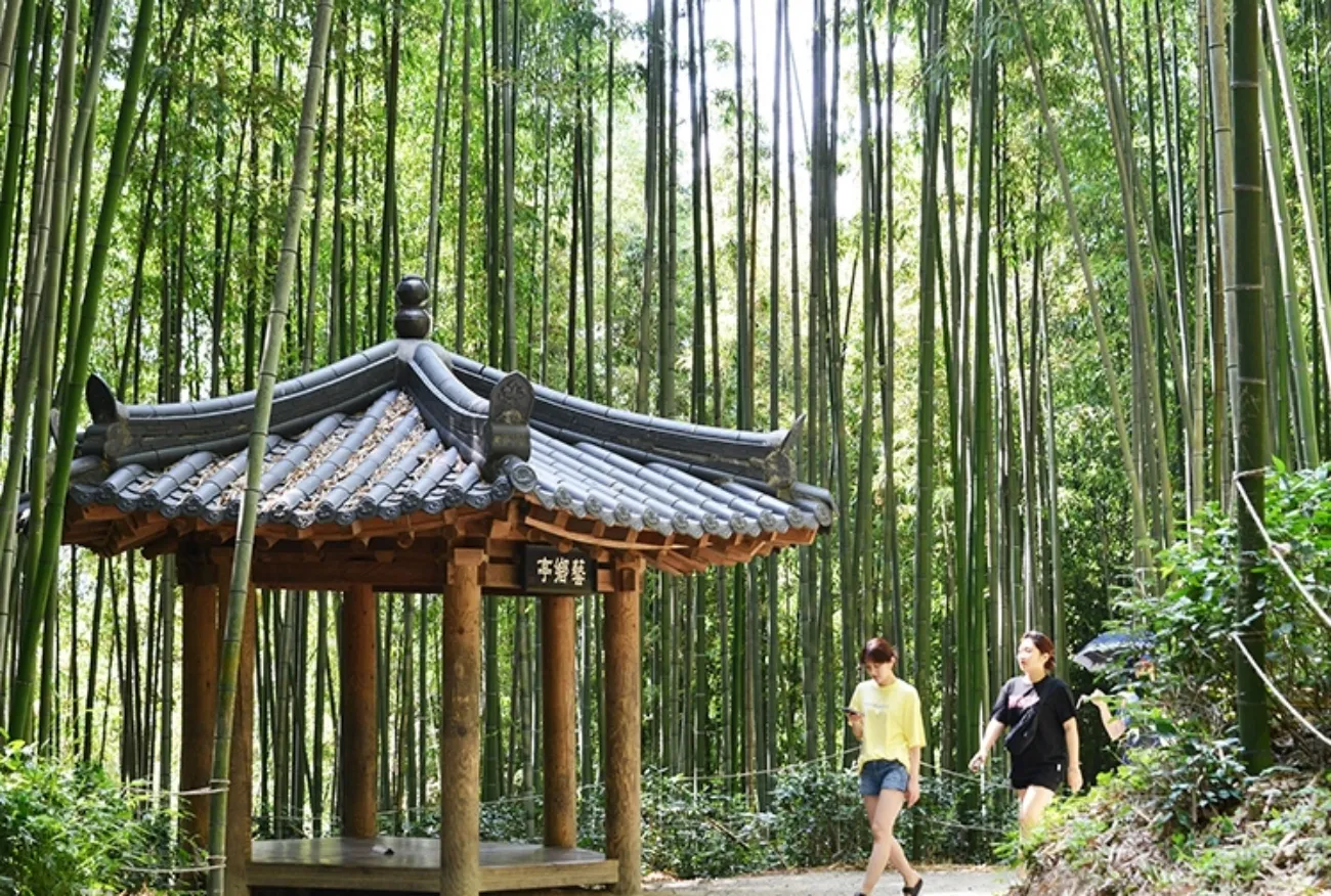 사진=담양 죽녹원