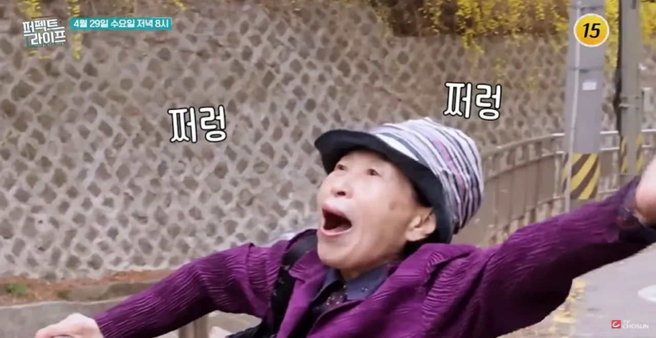 사진=TV조선 ‘퍼펙트 라이프’ 캡처