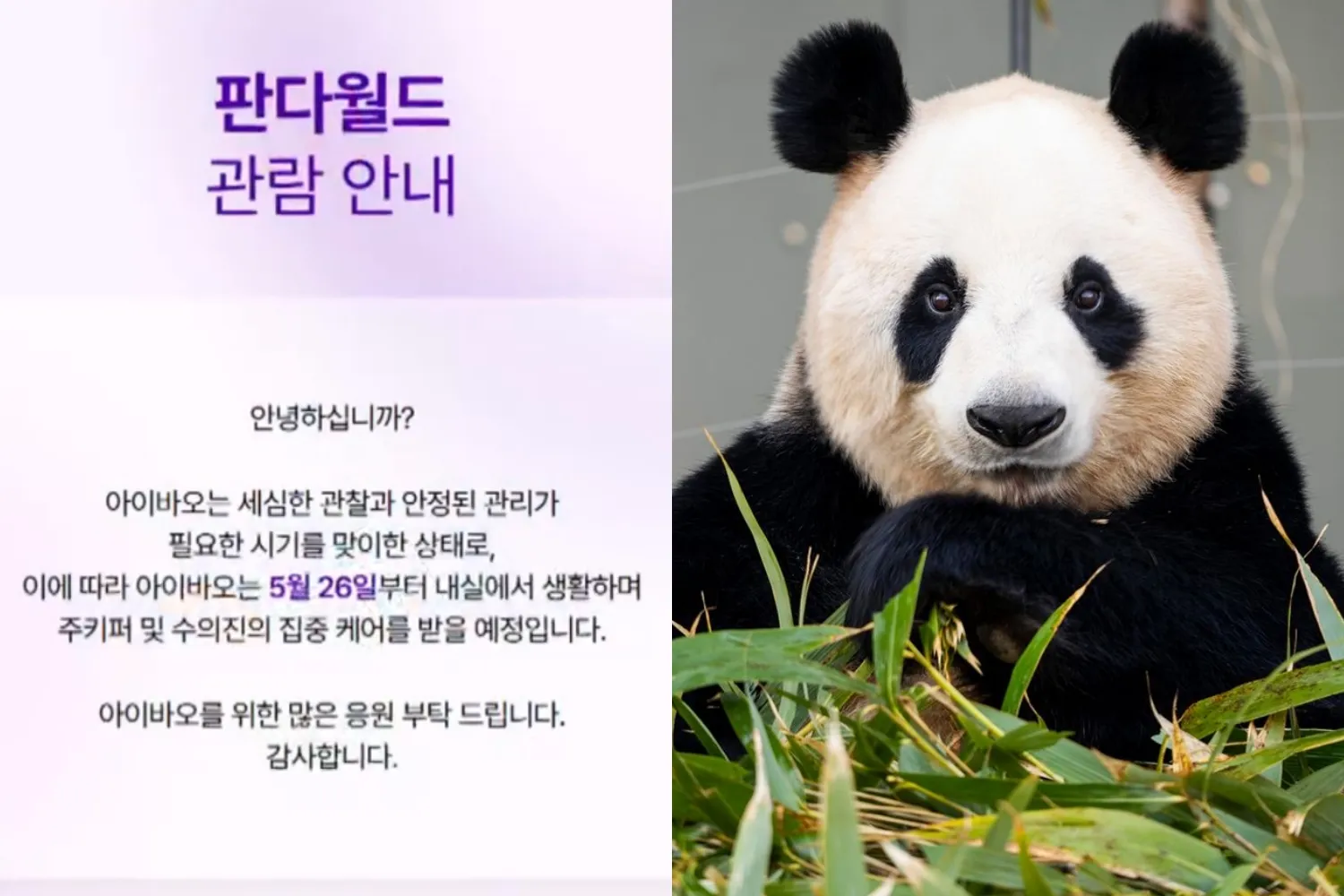 사진=에버랜드