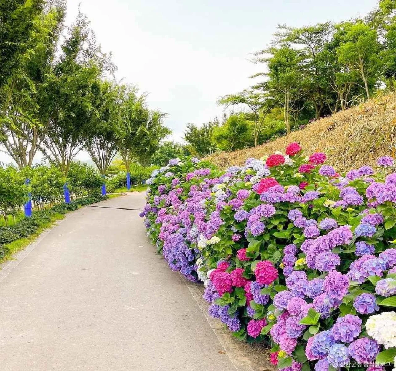 출처-대한민국구석구석