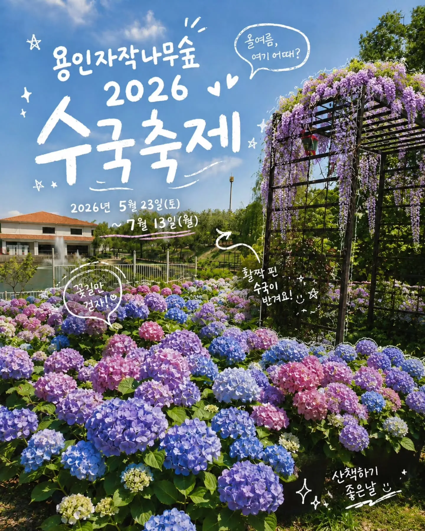 사진=용인 수국축제
