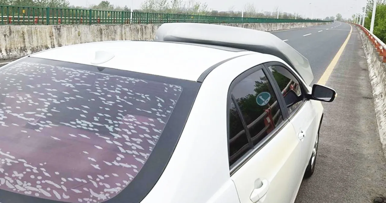 보닛이 열려있는 BYD 전기차 / SLR클럽
