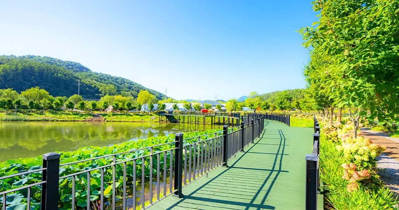 연꽃정원 모습 / 사진=연당원