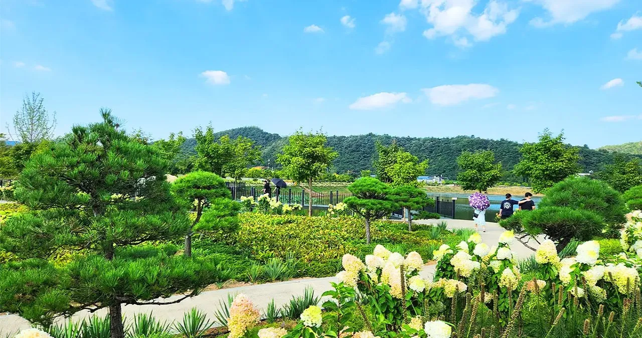 연당원 수국 / 사진=연당원