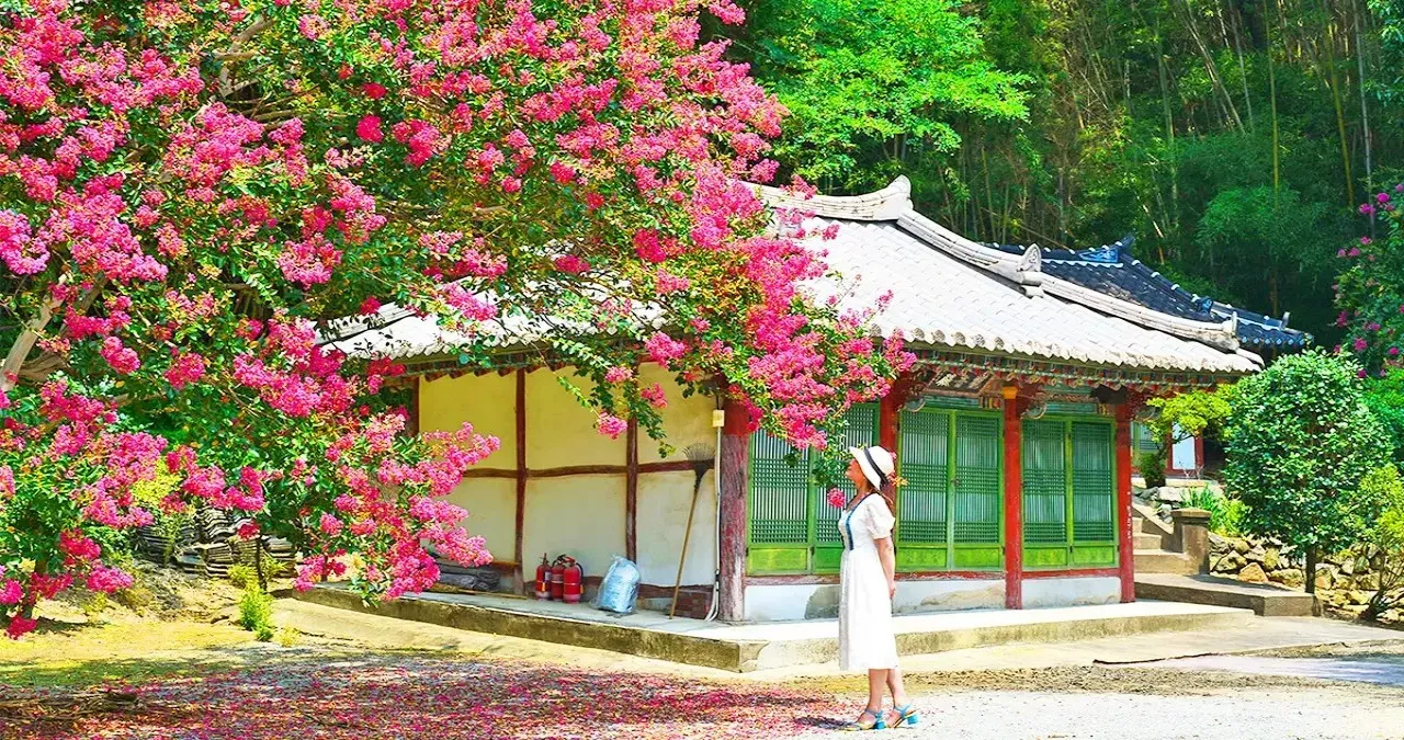 배롱나무 품은 트레킹 사찰 / 사진=논산시 문화관광