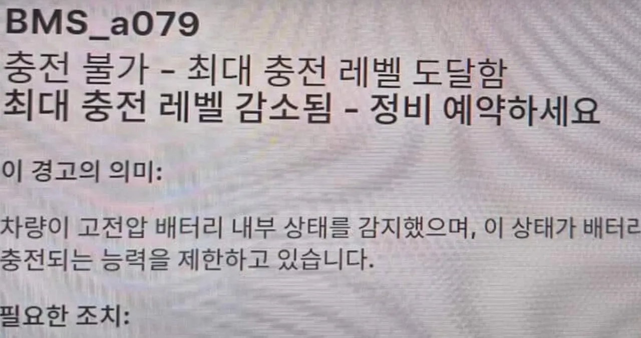 테슬라 BMS 오류 / 온라인 커뮤니티