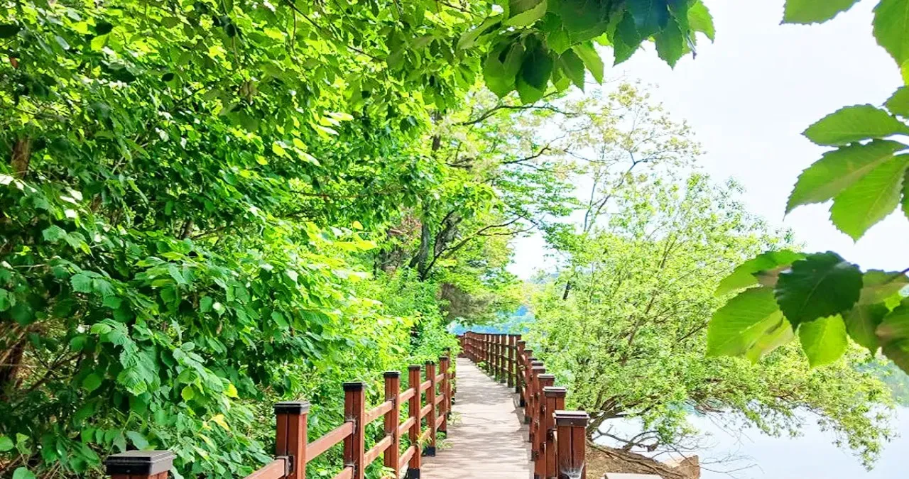 영주 순흥저수지 모습 / 사진=영주시 공식 블로그 배은설