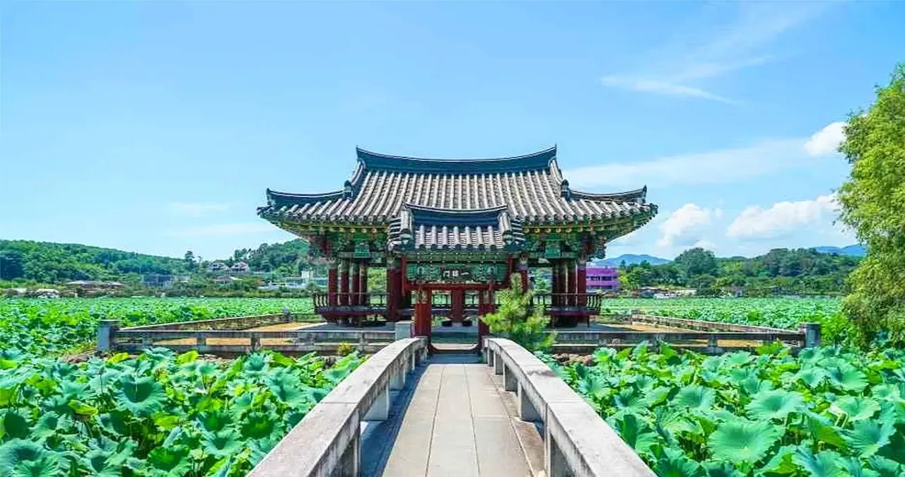 군자정 모습 / 사진=한국관광콘텐츠랩