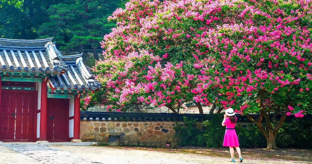 논산 충곡서원 / 사진=논산시 문화관광