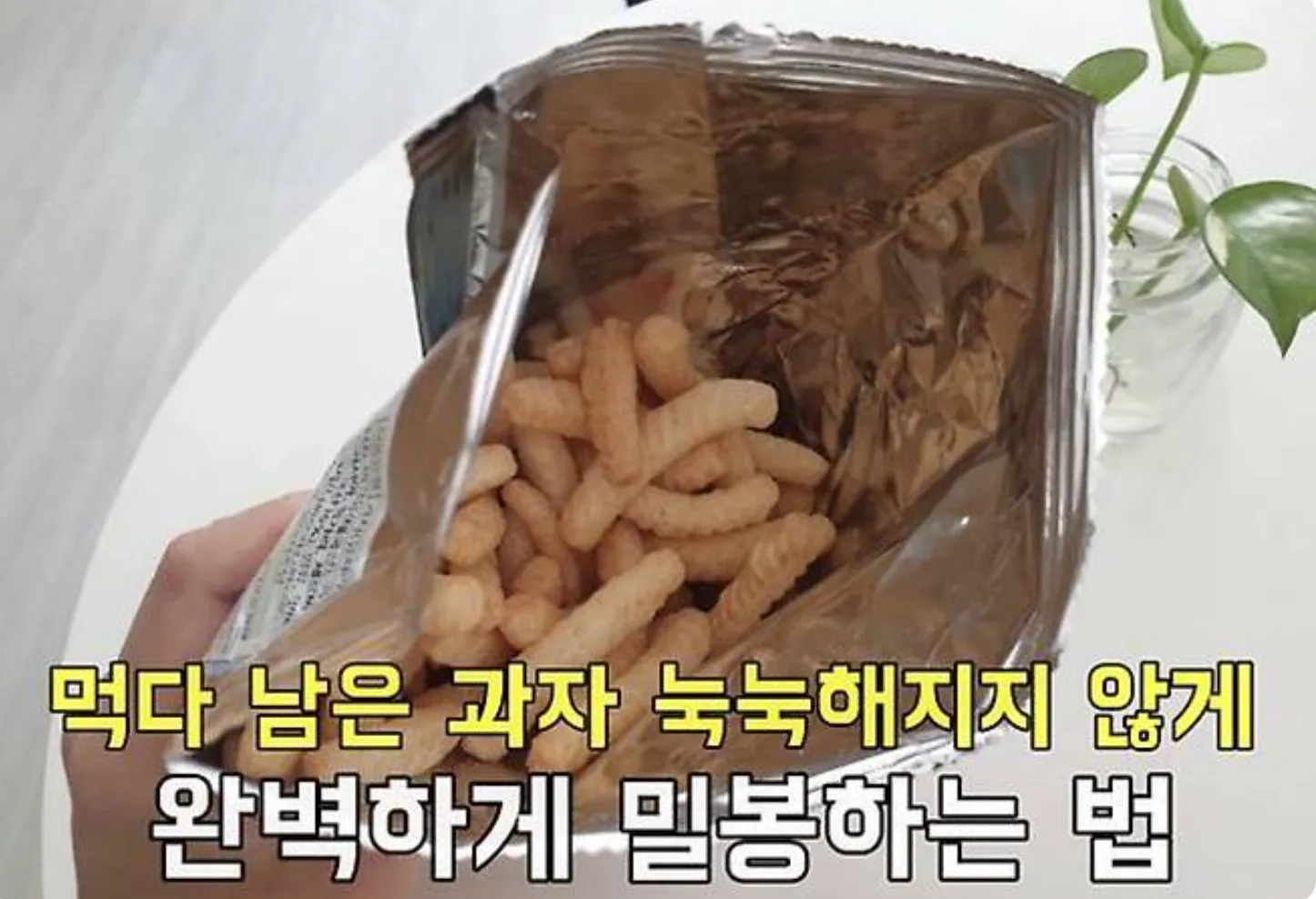 강수지 인스타그램