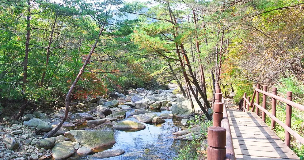 만수계곡 자연관찰로 / 사진=국립공원공단