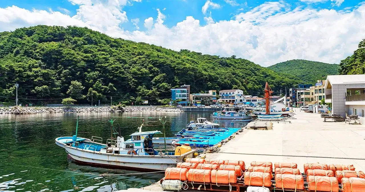 심곡항 / 사진=비짓강릉