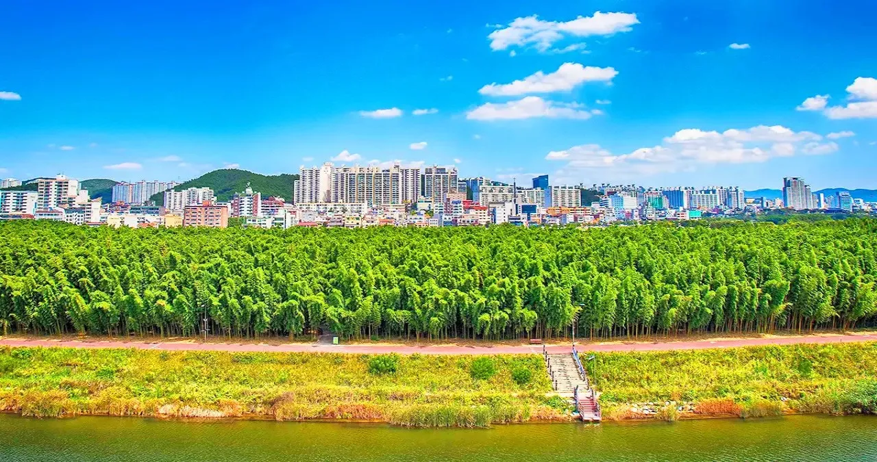 십리대숲 강 풍경 / 사진=한국관광콘텐츠랩