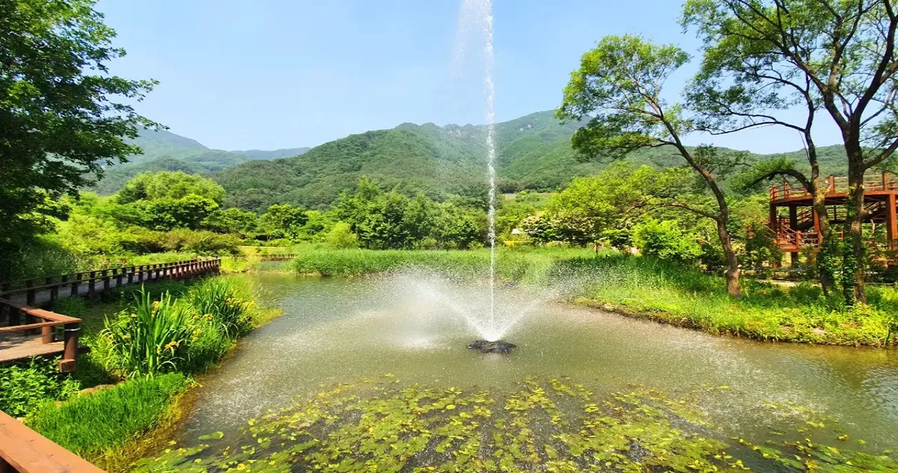 문경생태미로공원 풍경 / 사진=문경시 문화관광