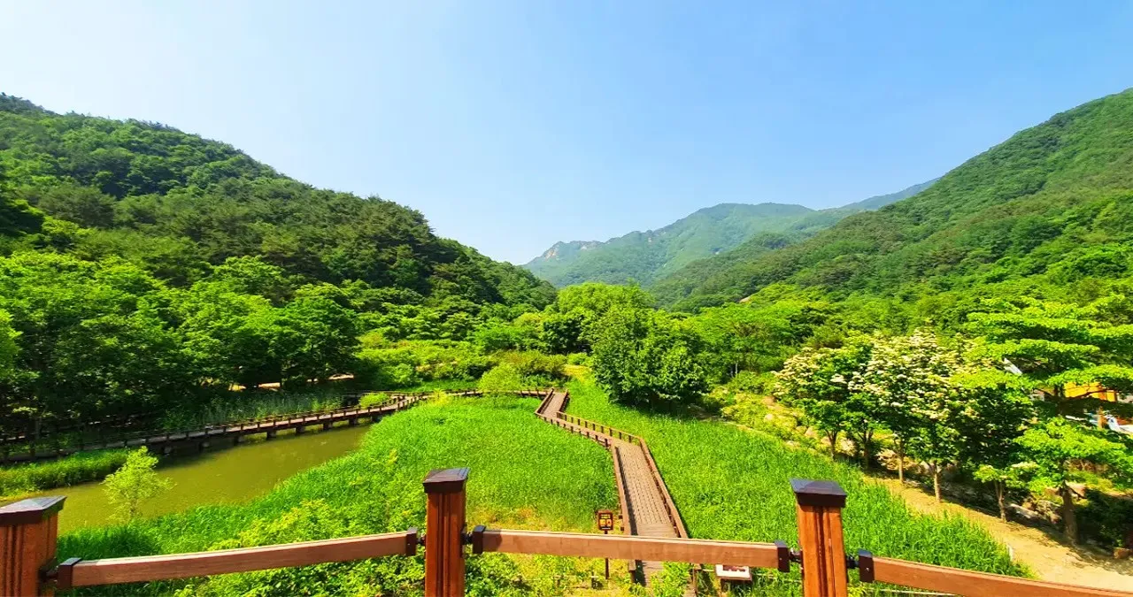 전망대에서 보는 풍경 / 사진=문경시 문화관광