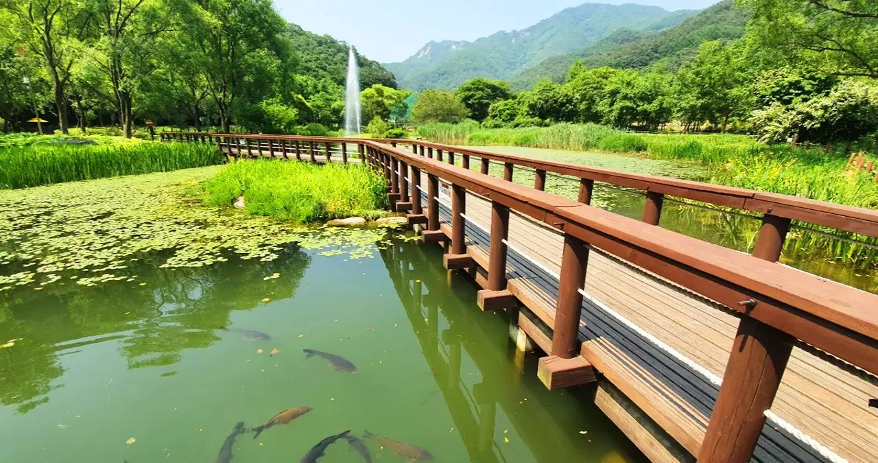 문경생태미로공원 / 사진=문경시 문화관광