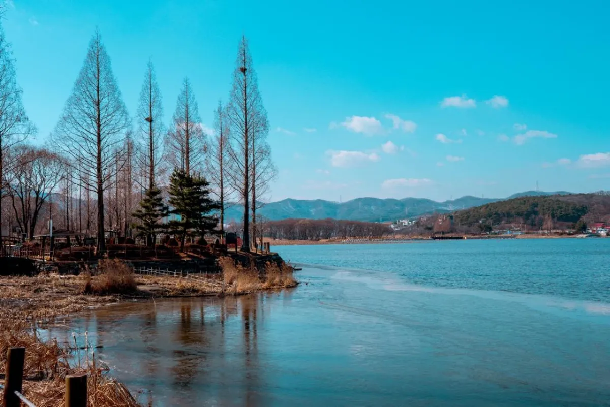 사진 : 신정호수공원 / 충청남도청