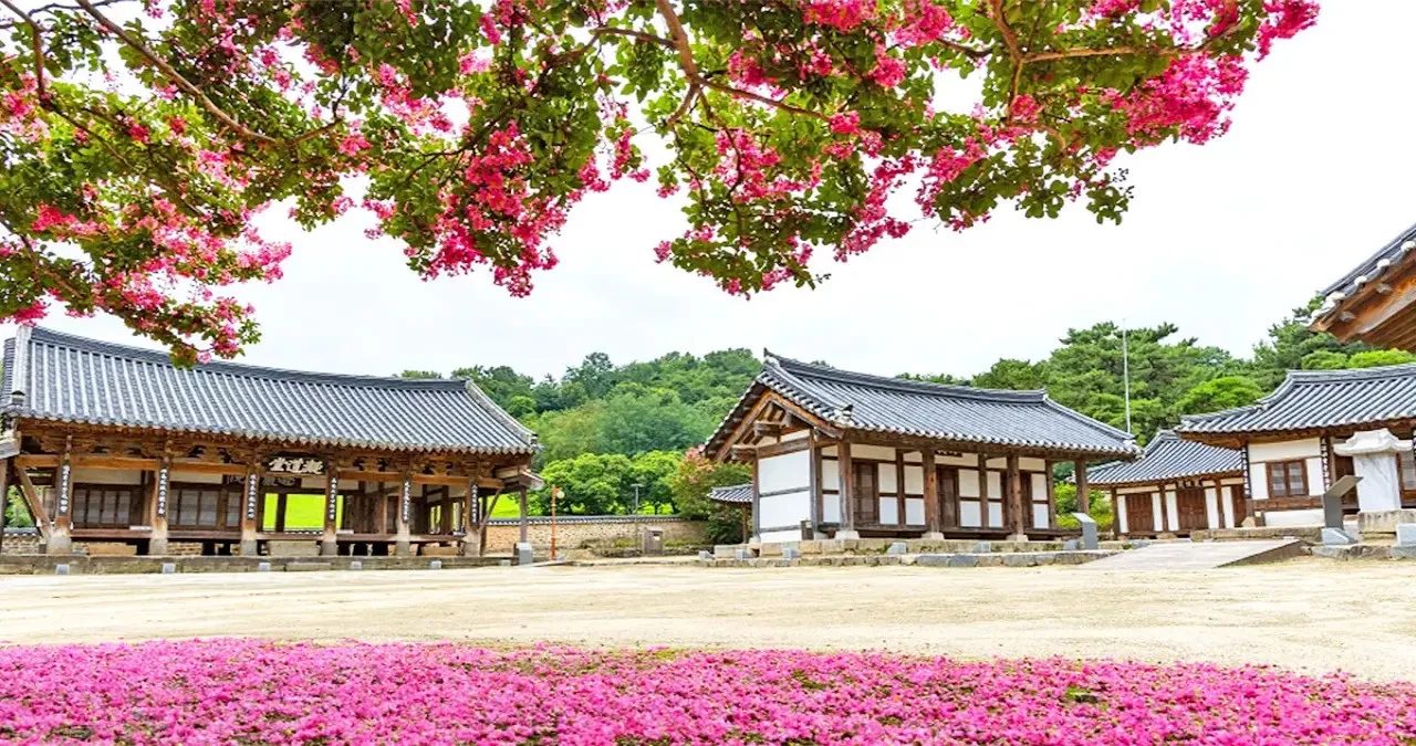 돈암서원 풍경 / 사진=충남관광