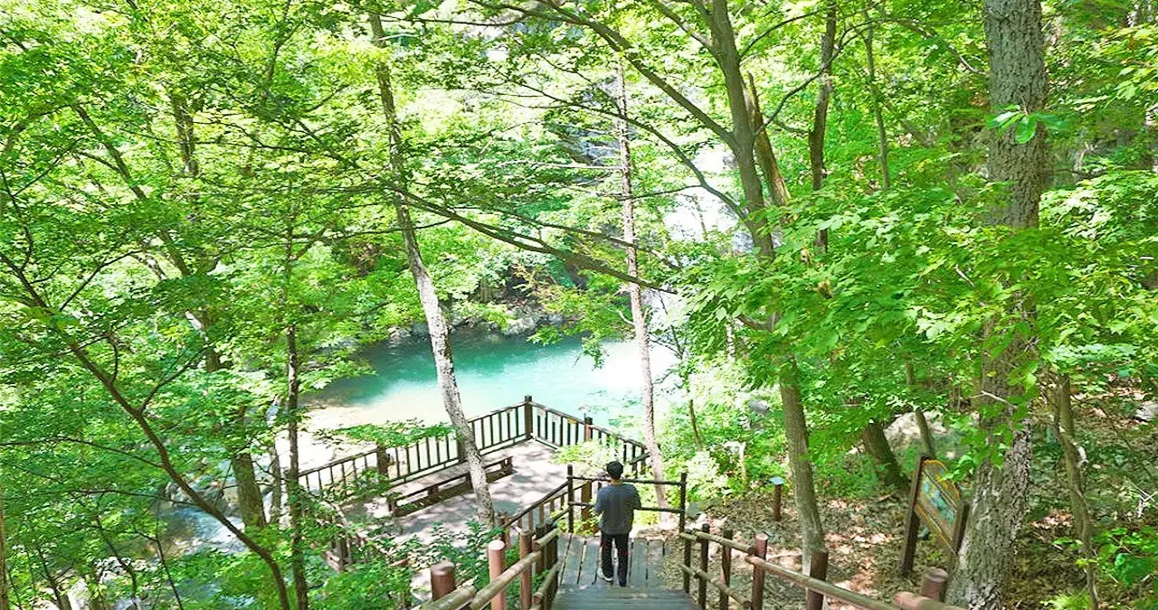 파래소폭포로 가는 길 / 사진=울산광역시 공식블로그 울산누리