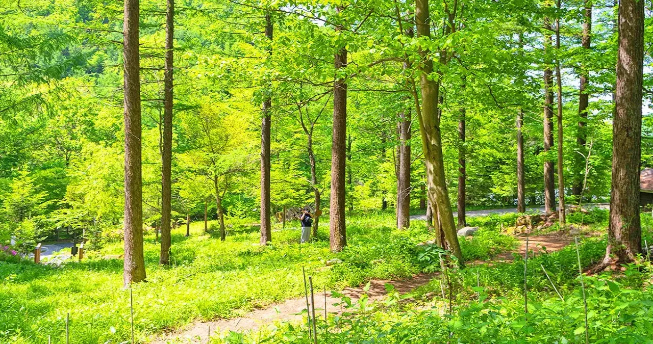 국립횡성숲체원 풍경 / 사진=한국관광콘텐츠랩