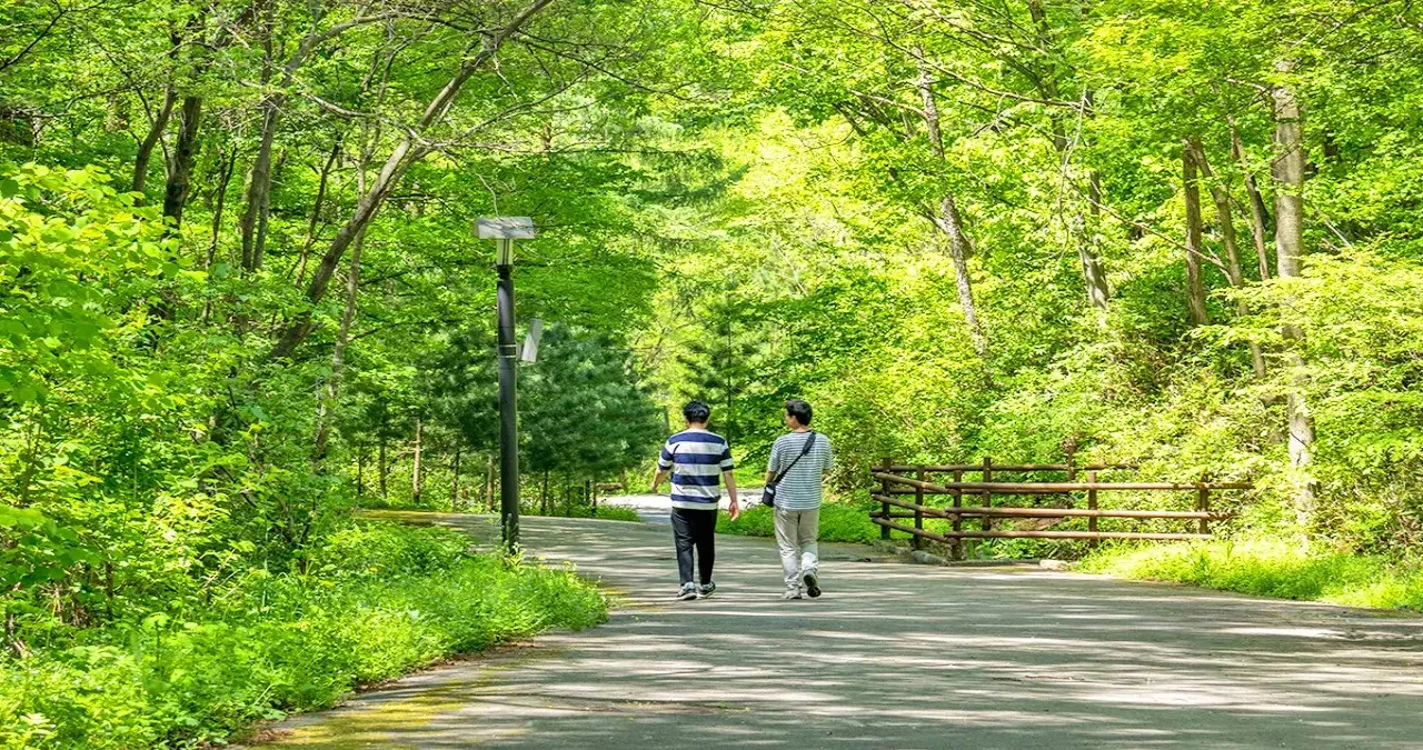 국립횡성숲체원 모습 / 사진=한국관광콘텐츠랩