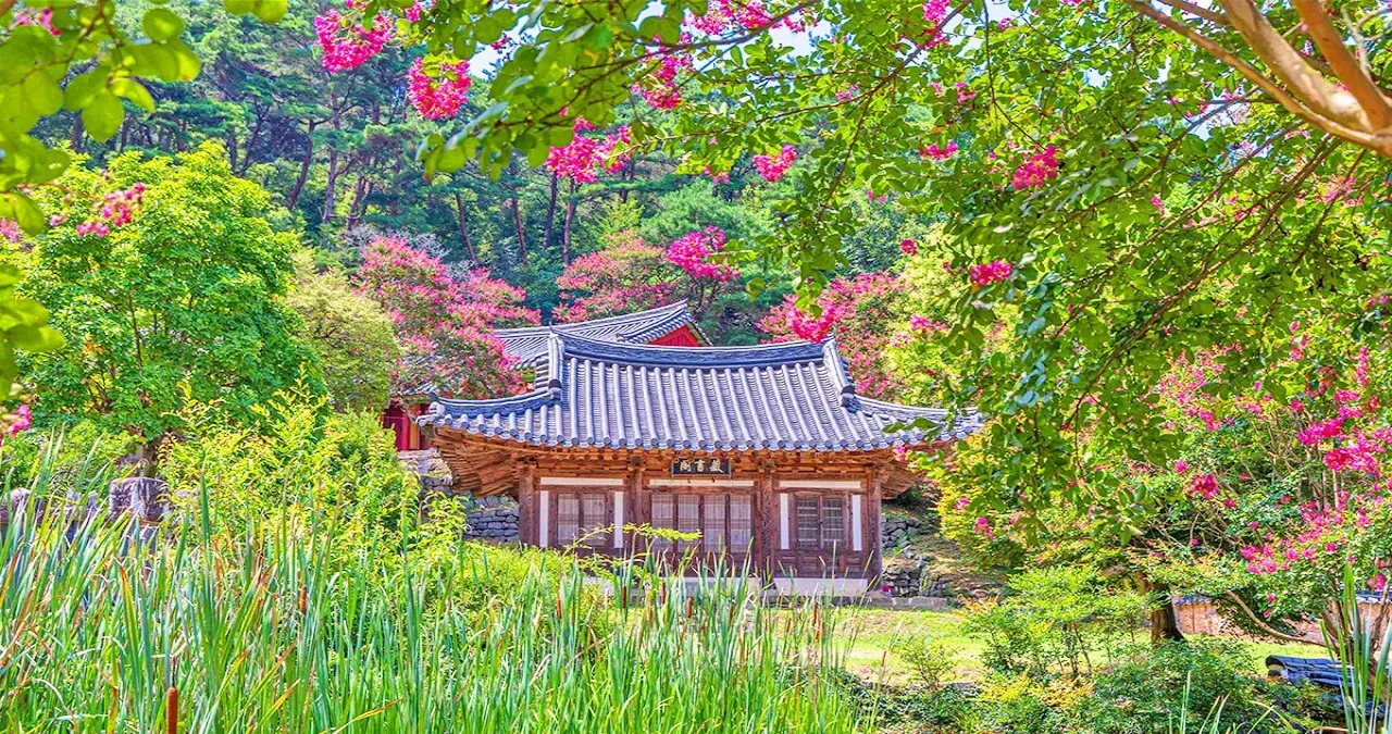 담양 죽림재 배롱나무 정원 / 사진=한국관광콘텐츠랩