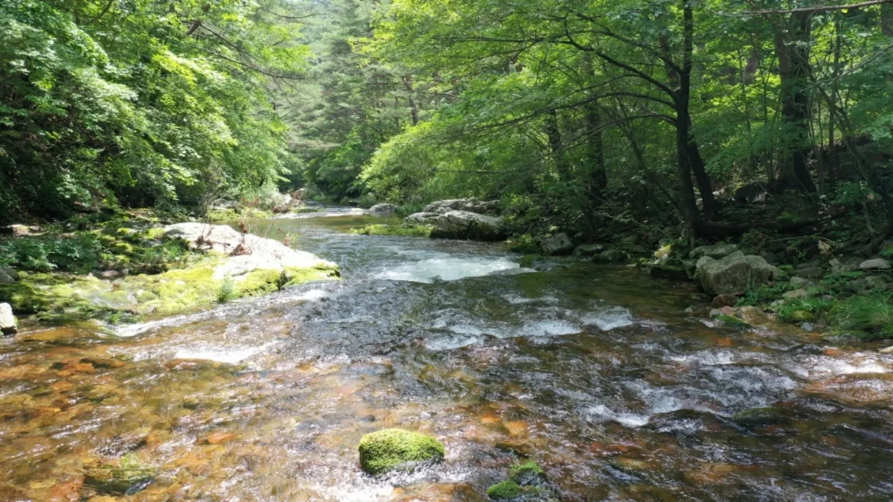 사진-봉화군청