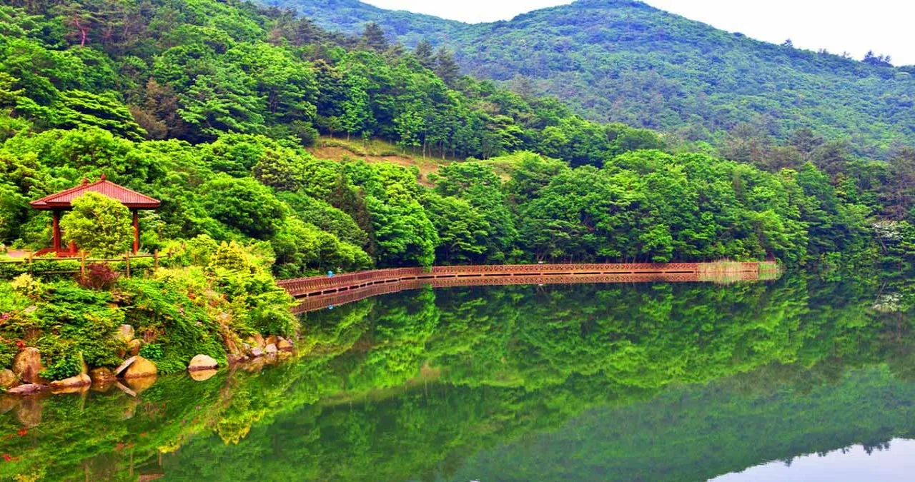 완도수목원 호수 데크길 / 사진=완도문화관광