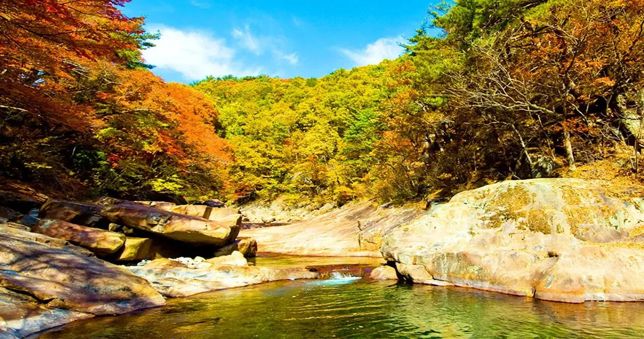 단풍이 든 대원사 계곡 / 사진=산청군 문화관광