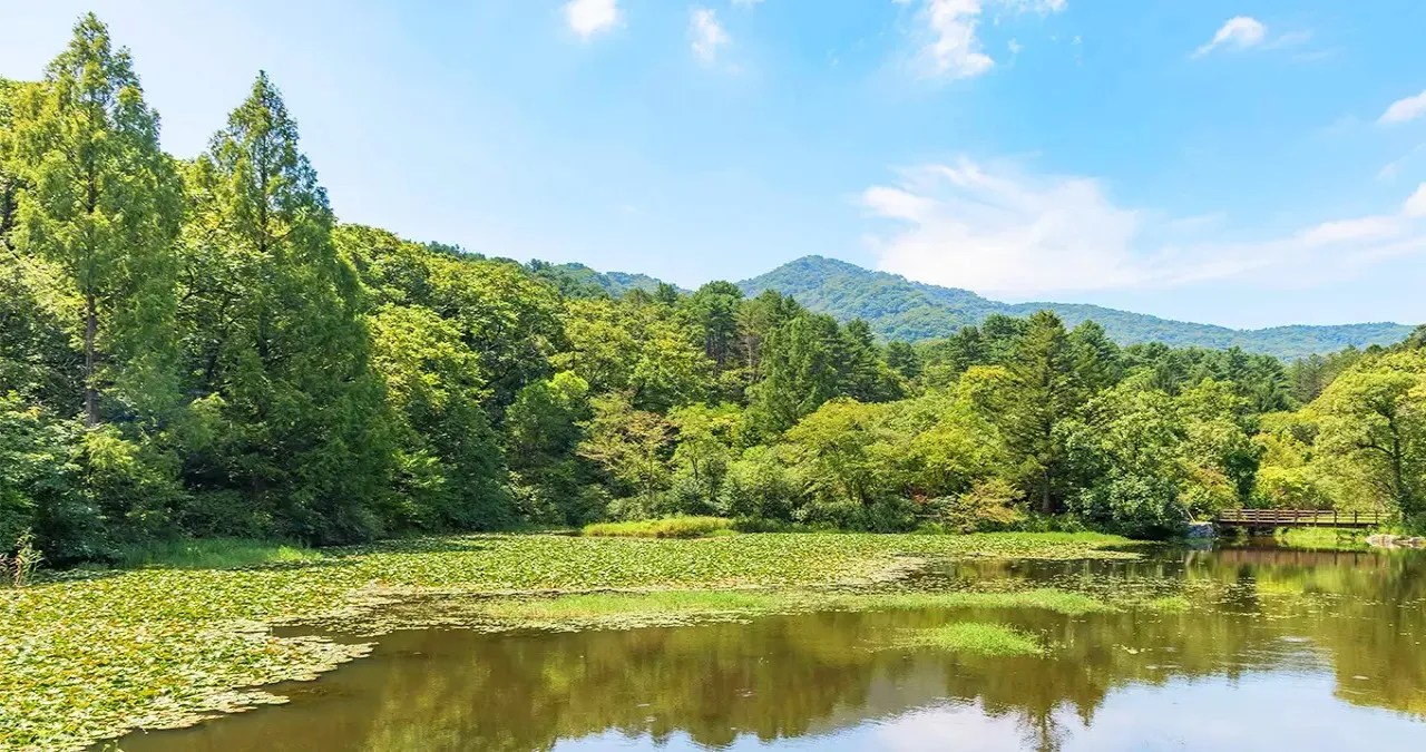 국립수목원 풍경 / 사진=한국관광콘텐츠랩