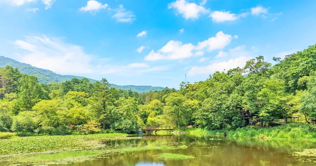 국립수목원 / 사진=한국관광콘텐츠랩