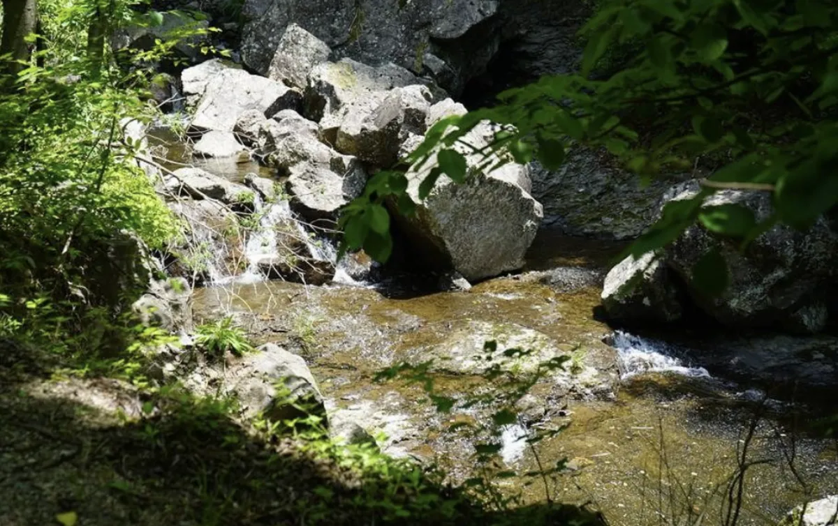 사진 : 경북 청송 주산지 / 경상북도 공식 블로그