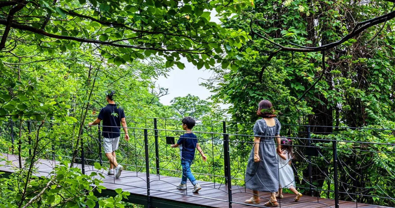 천년주목숲길 친환경 데크 / 사진=발왕산 관광케이블카