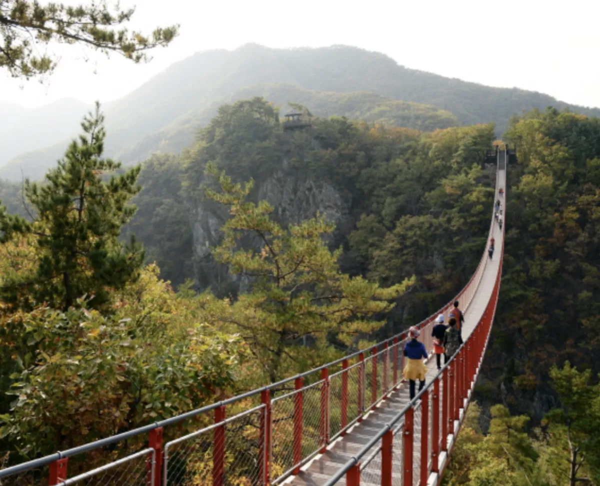 사진 : 파주 감악산 출렁다리 / 파주 문화관광 제공