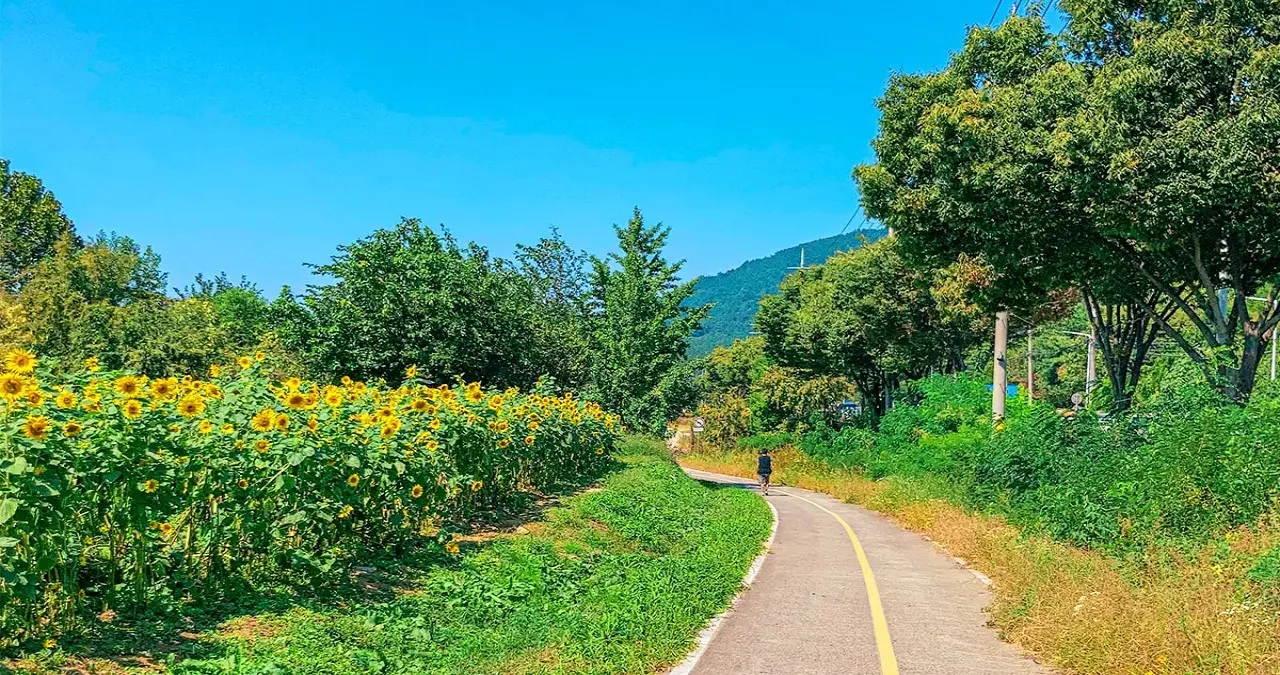 논공꽃단지 산책 코스 / 사진=대구관광B2B정보교류사이트