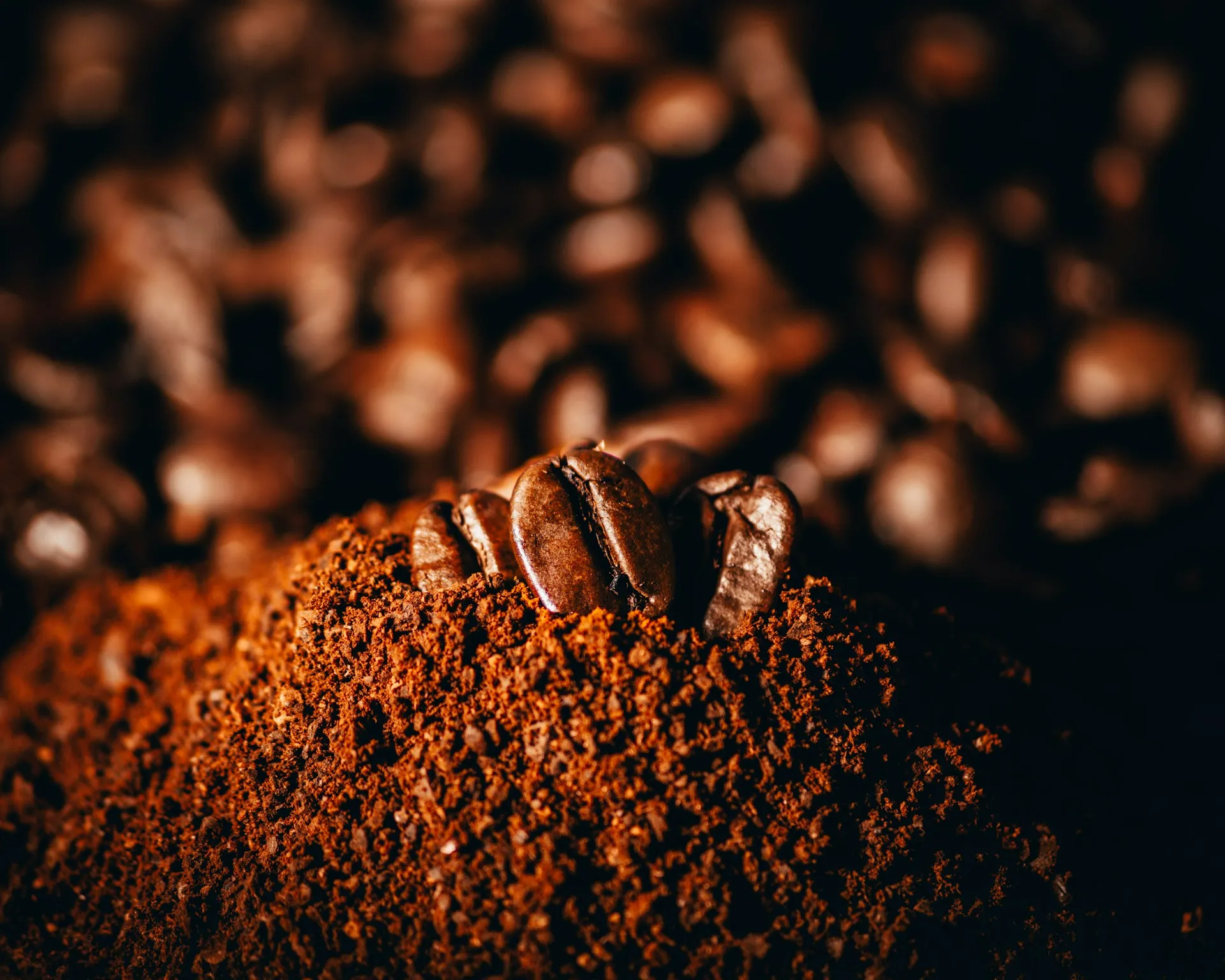 사진 : 분쇄한 원두 / unsplash.com