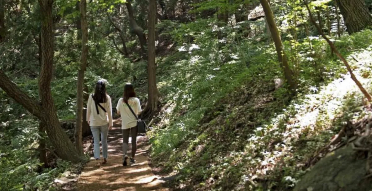 사진 : 부산 구덕문화공원 / 대한민국 구석구석