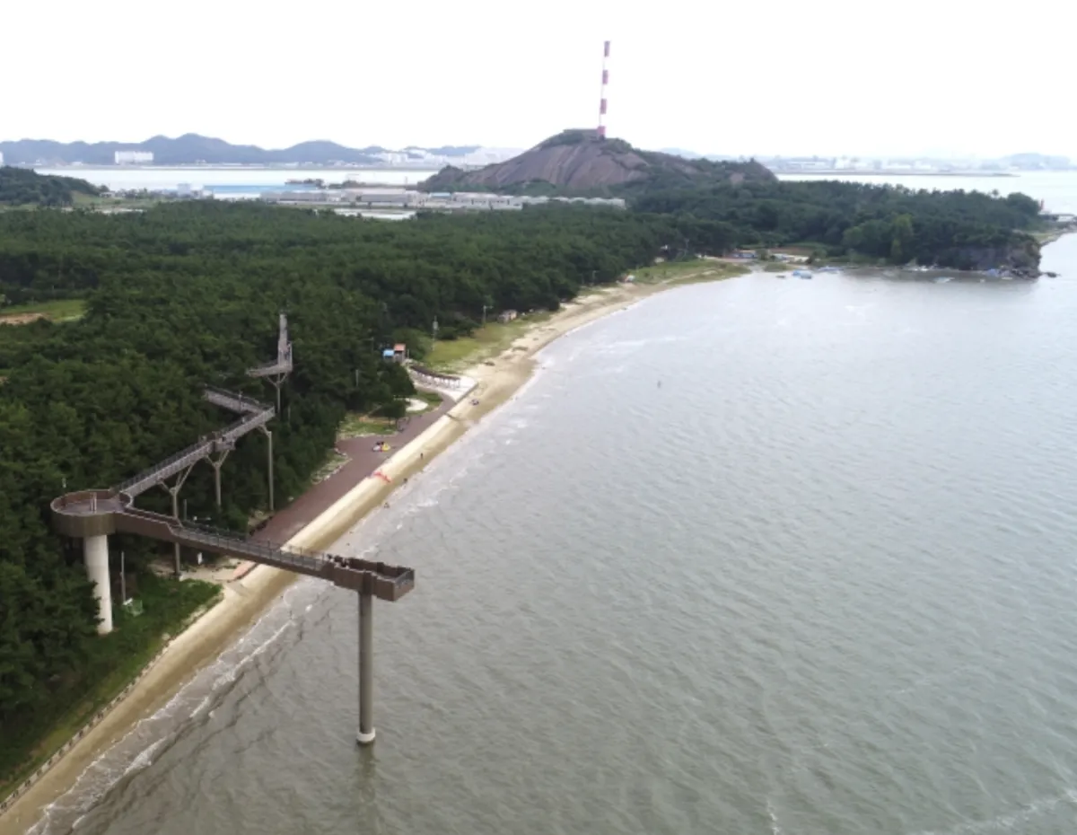 사진 : 장항 송림자연휴양림 / 충남군 제공
