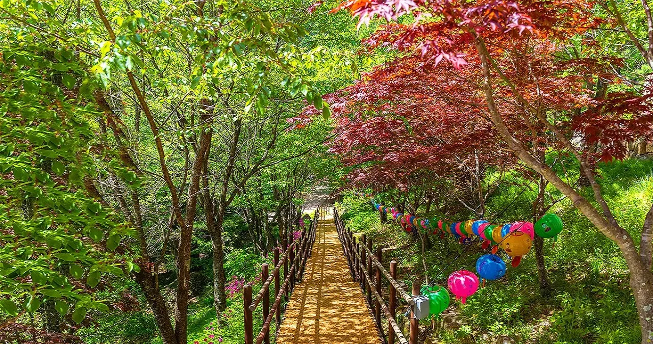 선재길 모습 / 사진=한국관광콘텐츠랩