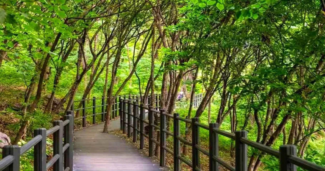 안산자락 숲길 / 사진=한국관광콘텐츠랩