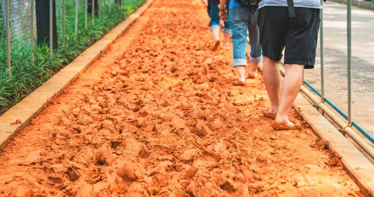안산자락길 황톳길 / 사진=한국관광콘텐츠랩