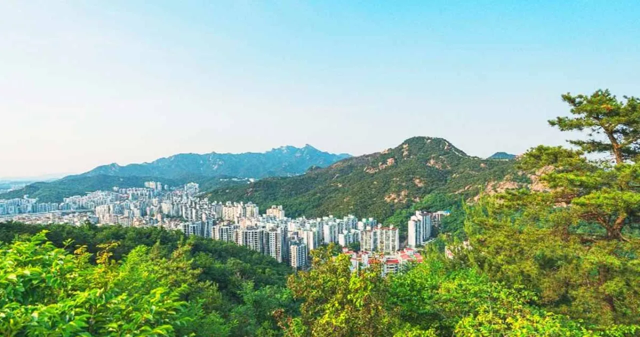안산자락길 조망 / 사진=한국관광콘텐츠랩