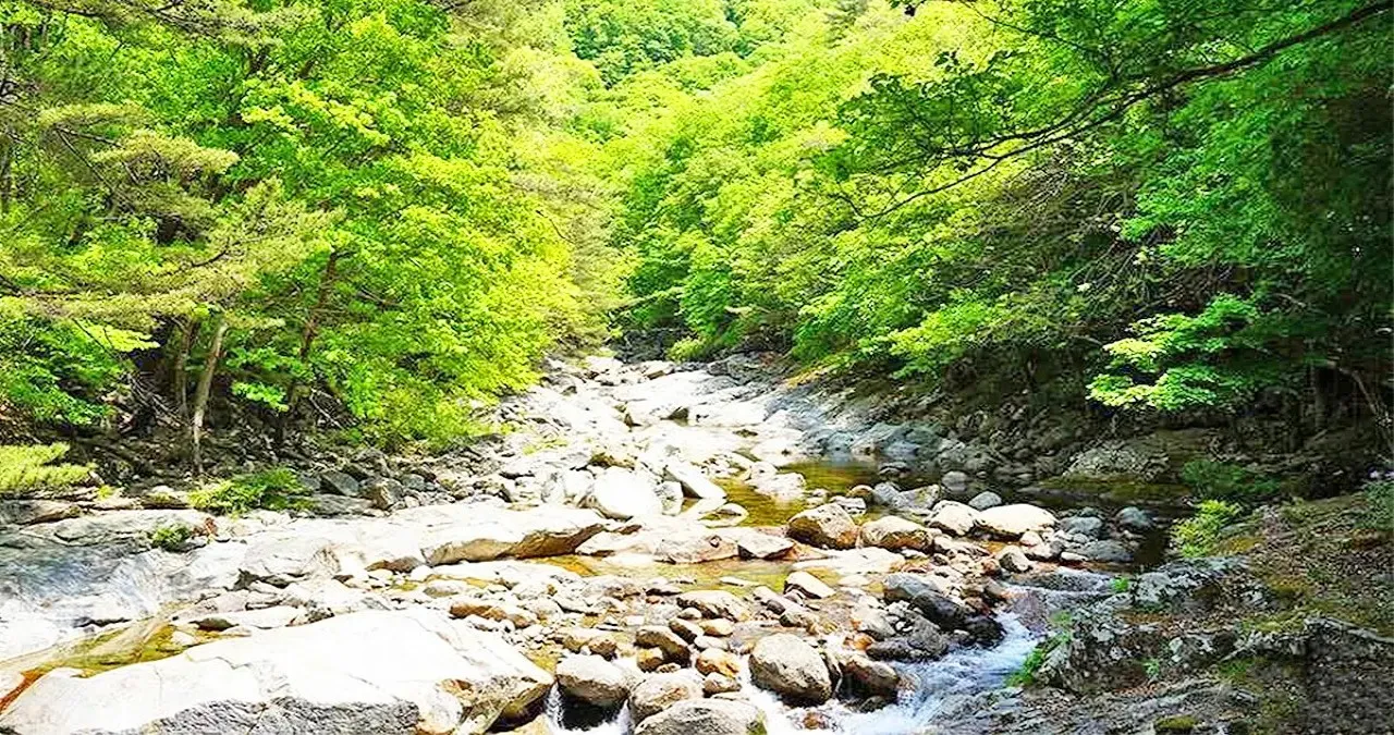 뱀사골계곡 풍경 / 사진=한국관광콘텐츠랩