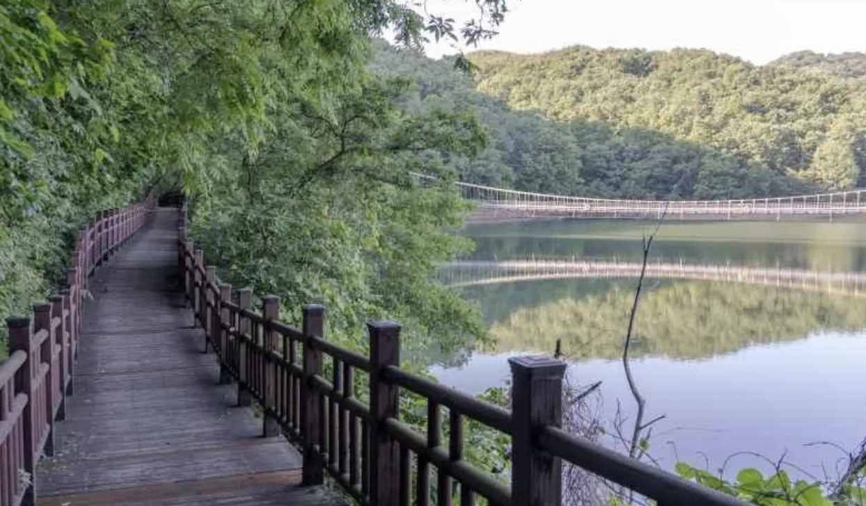 사진 : 천장호 출렁다리 산책길 / 대한민국 구석구석