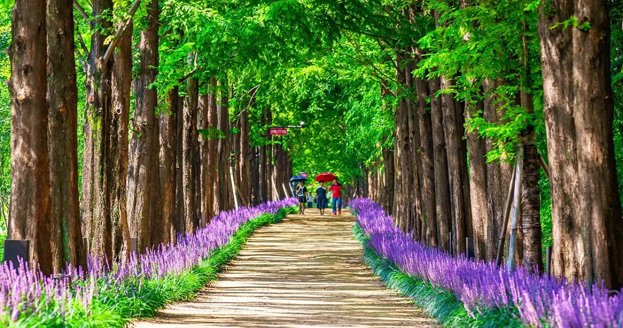 우로지 자연생태공원 풍경 / 사진=한국관광콘텐츠랩