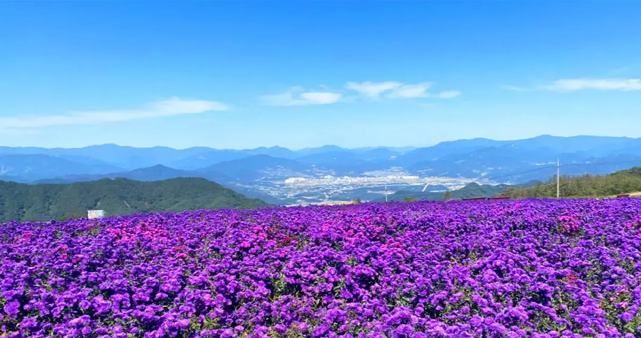 별바람 언덕 모습 / 사진=거창 문화관광포털