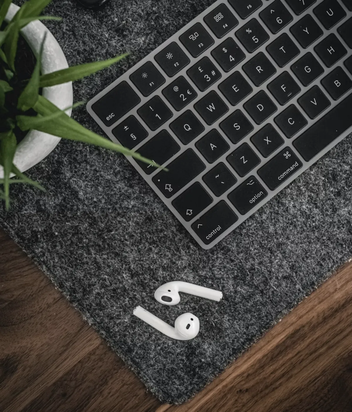 사진 : 키보드 깔판 / Unsplash