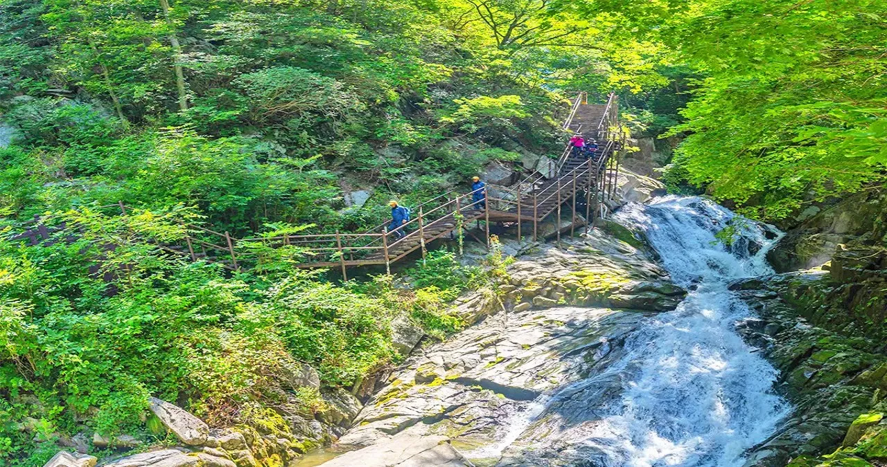 구룡계곡 탐방로 / 사진=한국관광콘텐츠랩